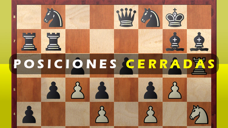 Ajedrez Para Principiantes: El Manual más Completo para Aprender las  Mejores Estrategias de Ajedrez y los Principios de Apertura para Jugadores