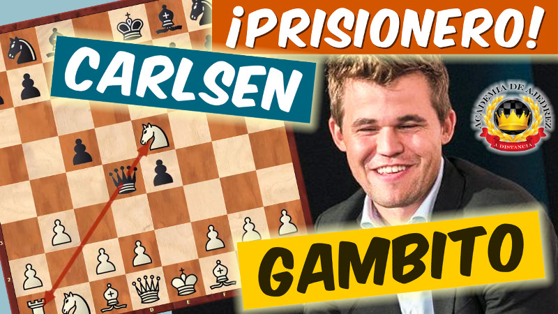 ¡Prisionero! GAMBITO con Carlsen